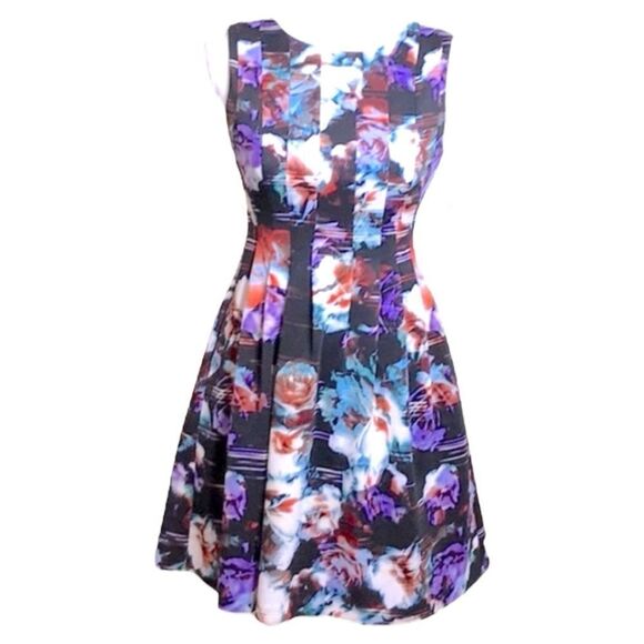 Vince Camuto Dresses & Skirts - Vince Camuto Black Multi Sleeveless Printed Pleated A-Line Dress Lined 16